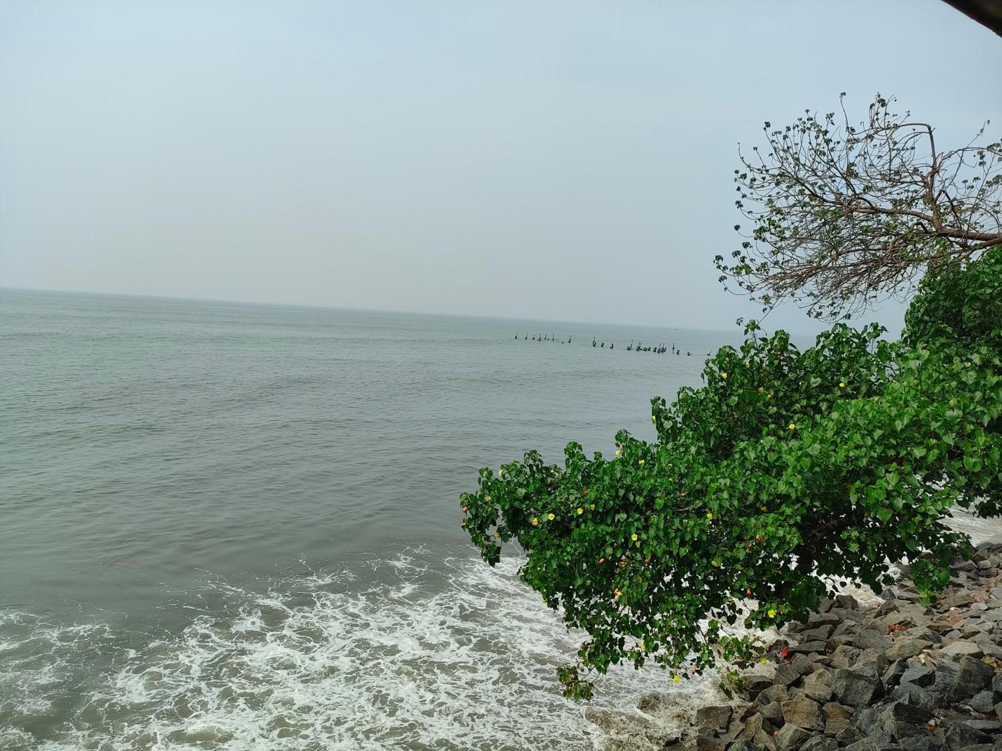 Coastal Den Homestay Pallipuram Esterno foto
